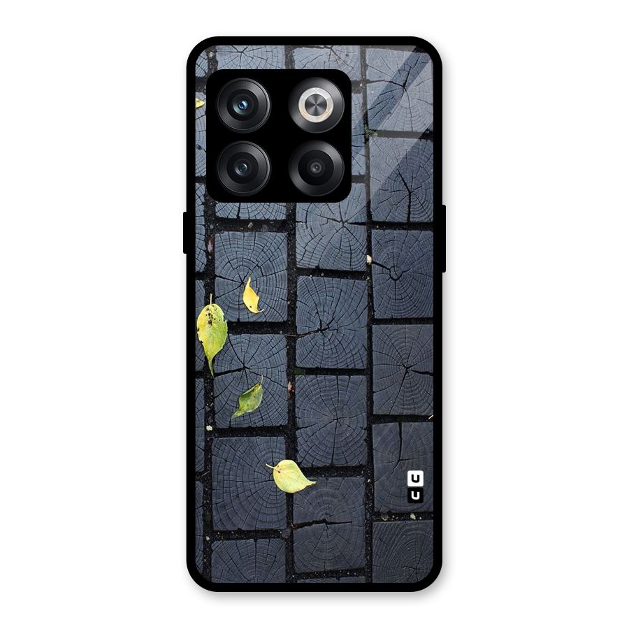 Leaf On Floor Glass Back Case for OnePlus 10T