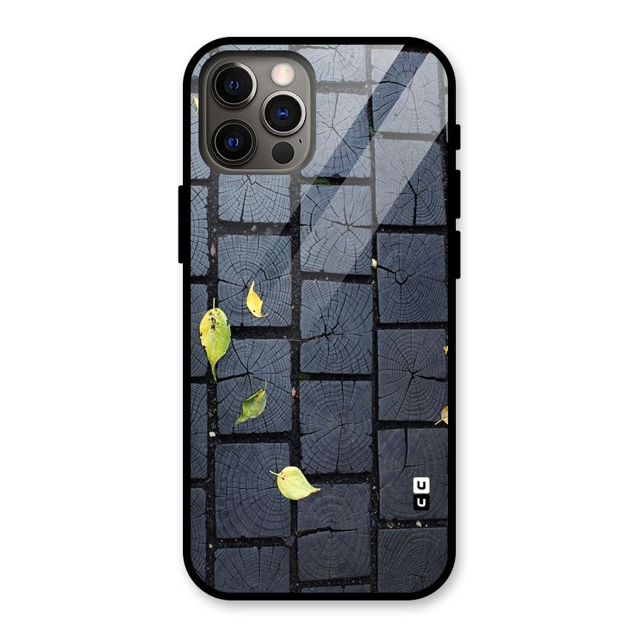 Leaf On Floor Glass Back Case for iPhone 12 Pro