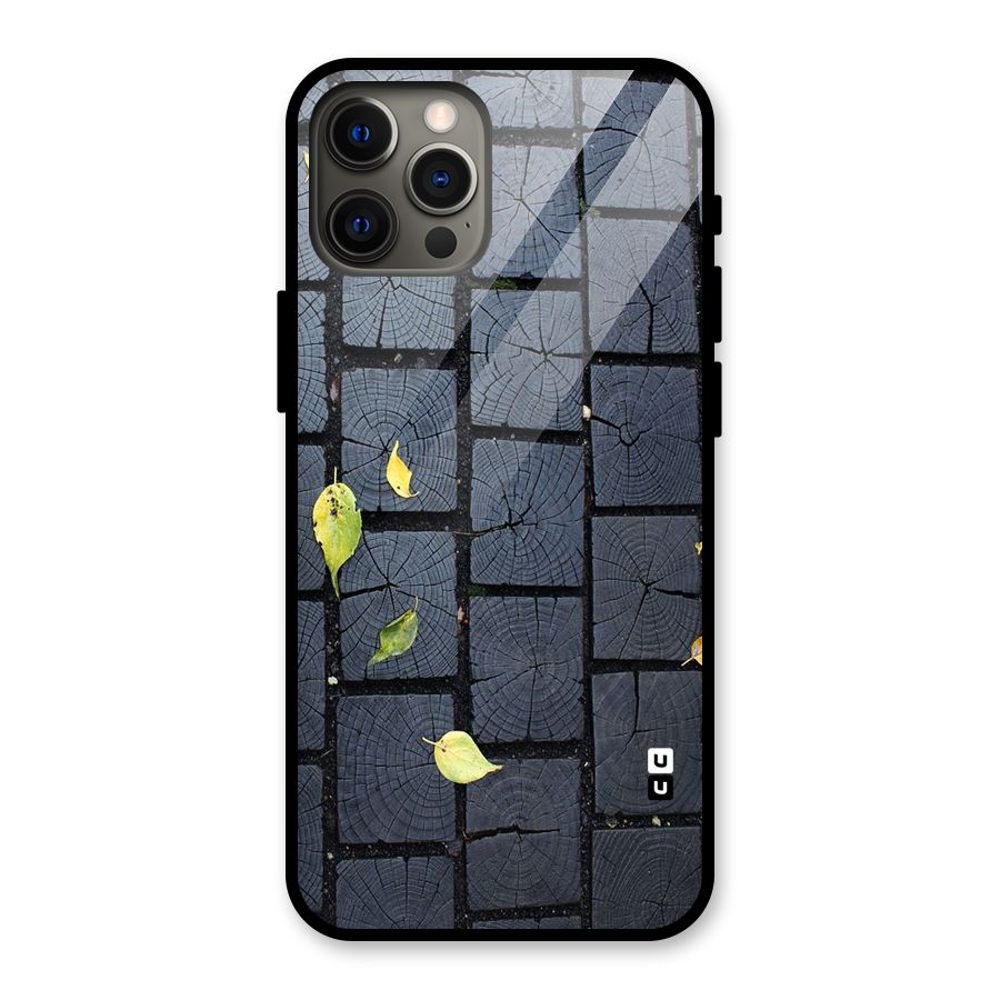 Leaf On Floor Glass Back Case for iPhone 12 Pro Max