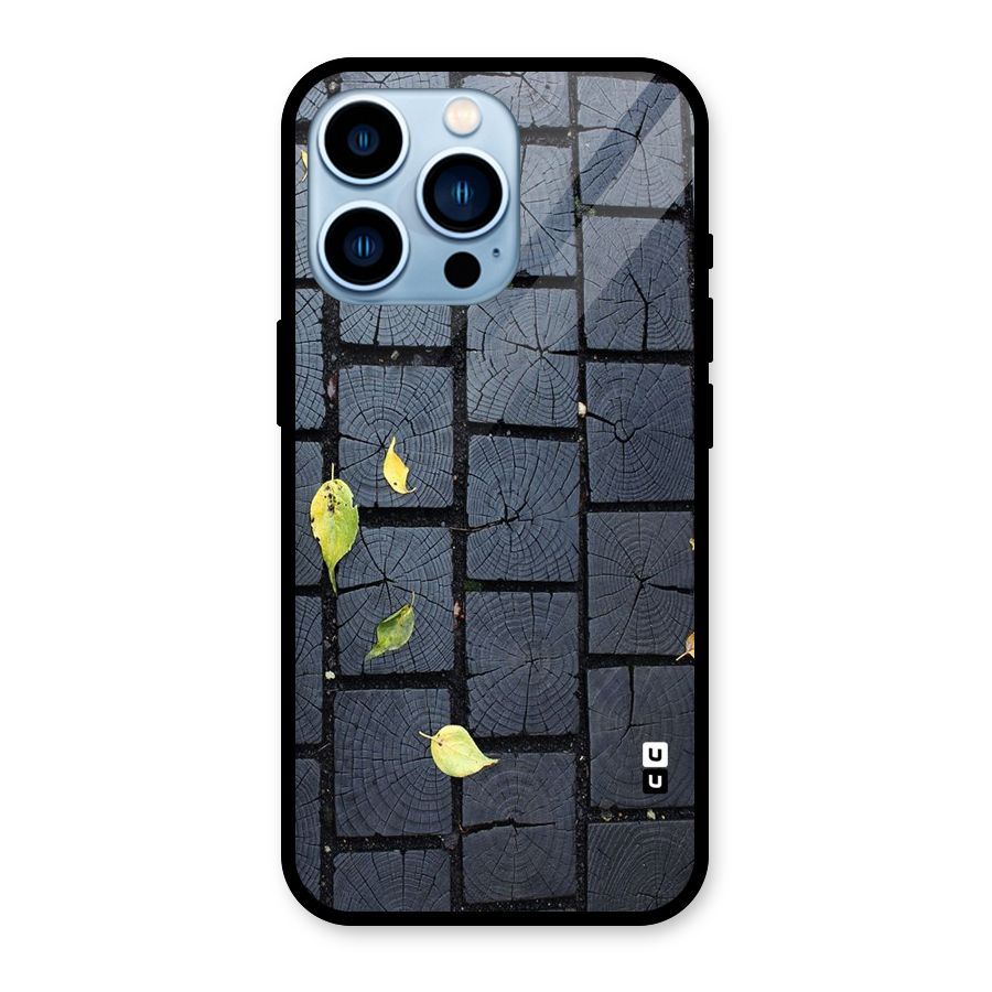Leaf On Floor Glass Back Case for iPhone 13 Pro