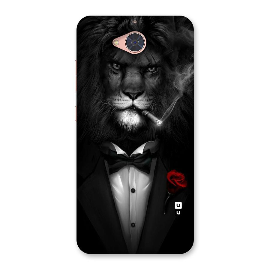 Lion Class Back Case for Gionee S6 Pro