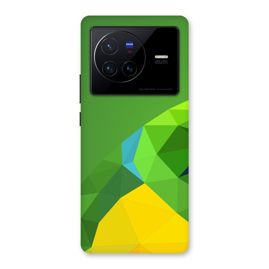 Little Bird Back Case for Vivo X80