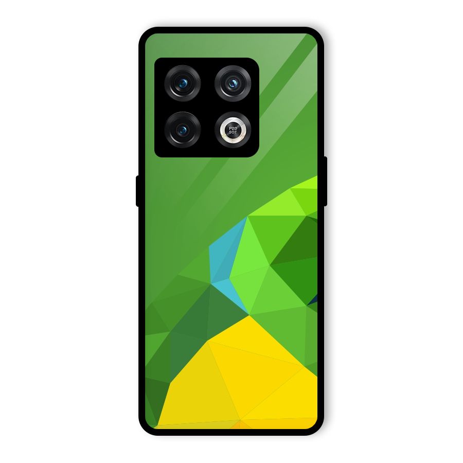 Little Bird Glass Back Case for OnePlus 10 Pro 5G