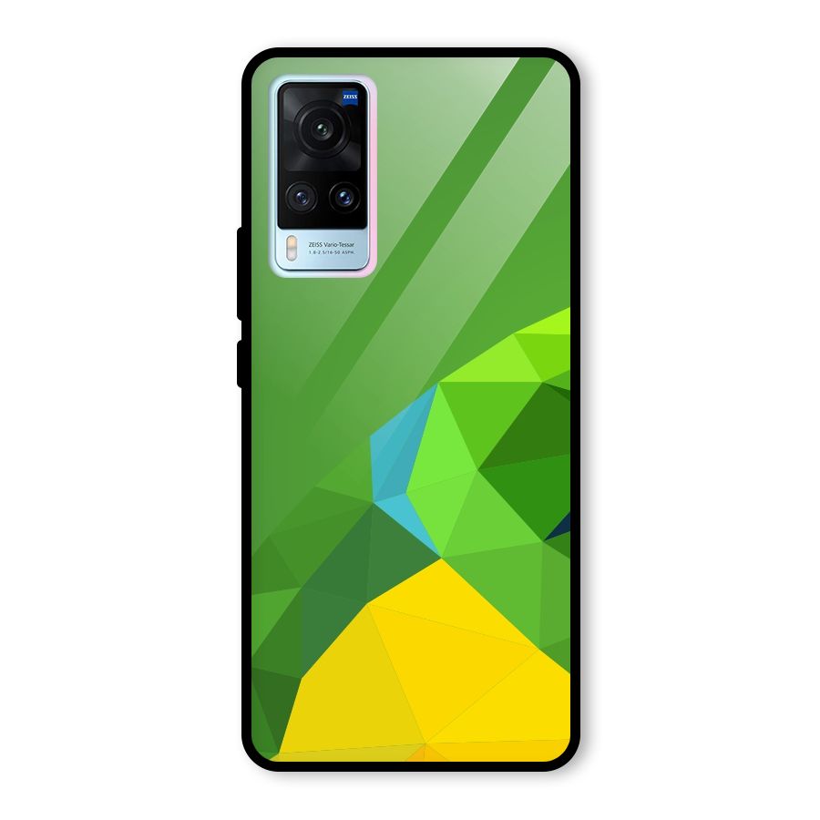Little Bird Glass Back Case for Vivo X60