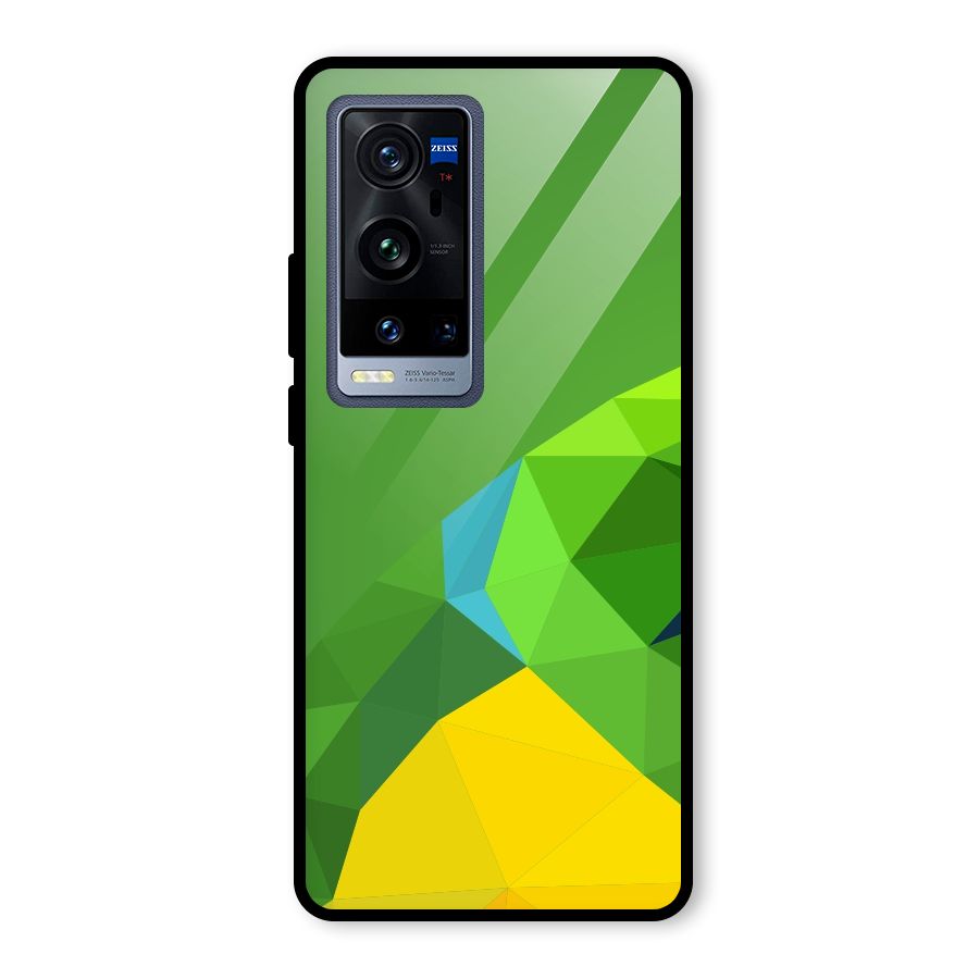 Little Bird Glass Back Case for Vivo X60 Pro Plus