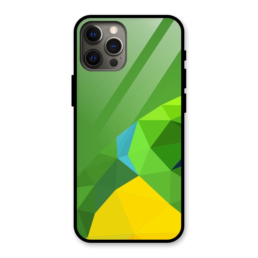 Little Bird Glass Back Case for iPhone 12 Pro Max