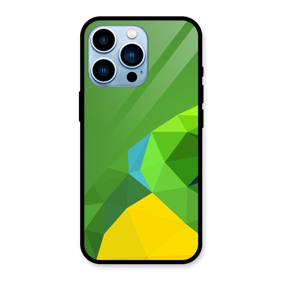 Little Bird Glass Back Case for iPhone 13 Pro