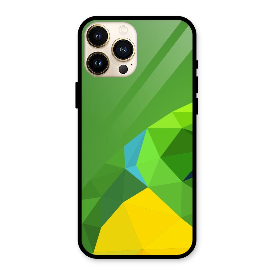 Little Bird Glass Back Case for iPhone 13 Pro Max