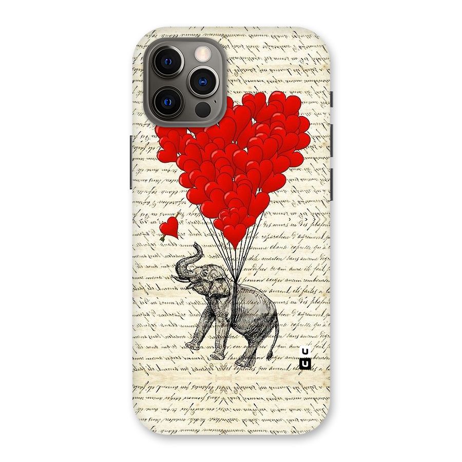 Love Weight Back Case for iPhone 12 Pro