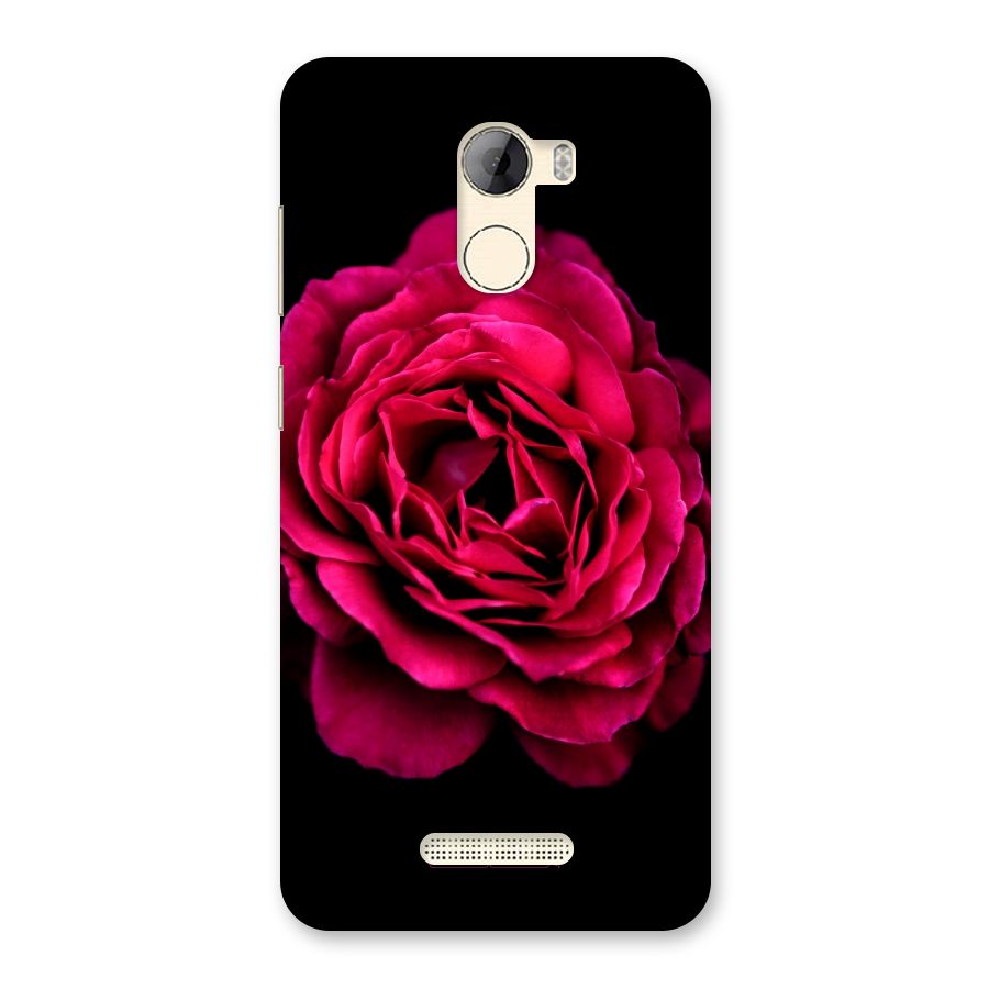 Magical Rose Back Case for Gionee A1 LIte
