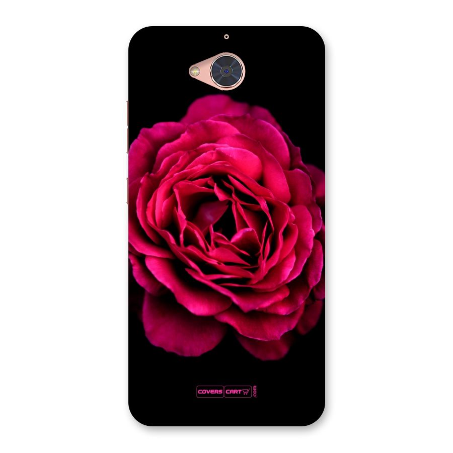 Magical Rose Back Case for Gionee S6 Pro