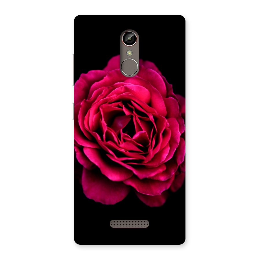 Magical Rose Back Case for Gionee S6s