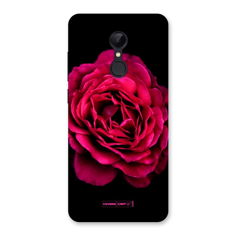 Magical Rose Back Case for Redmi 5