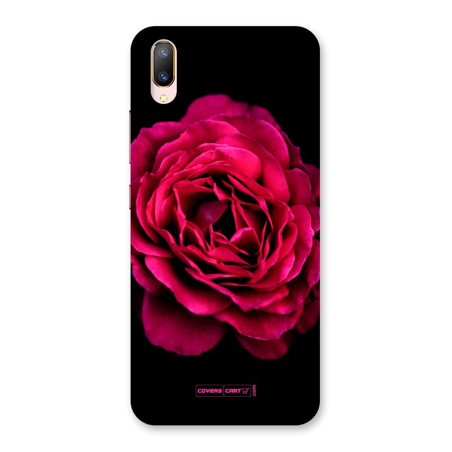 Magical Rose Back Case for Vivo V11 Pro