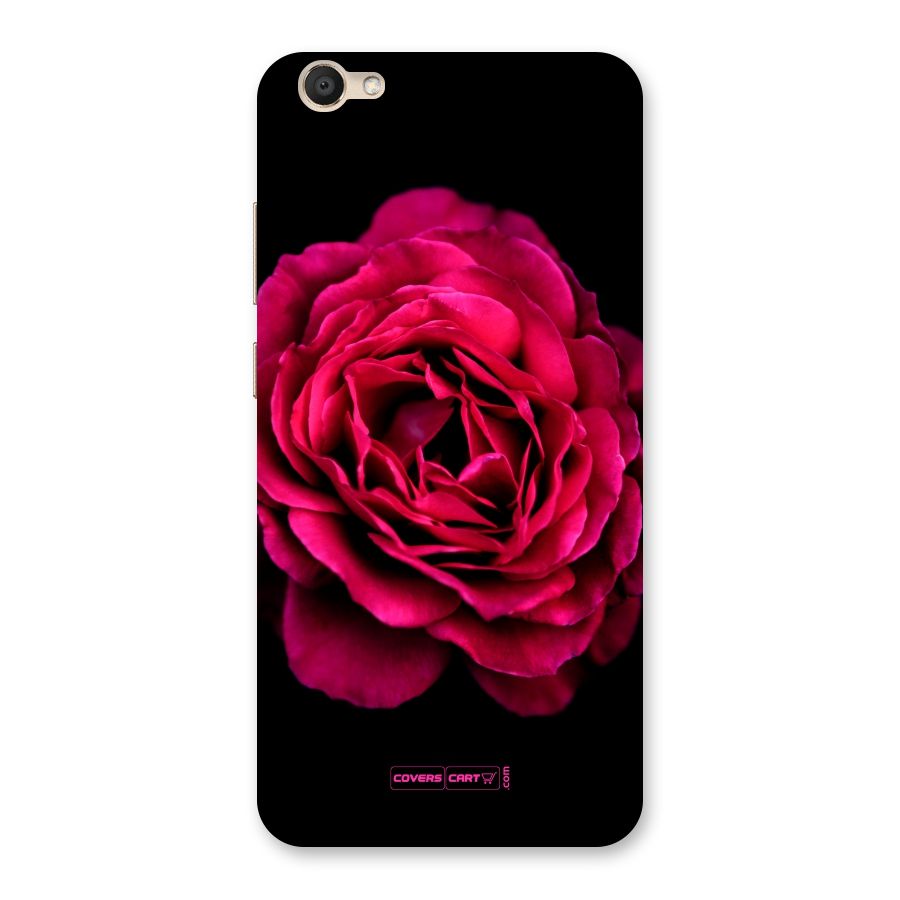 Magical Rose Back Case for Vivo V5s