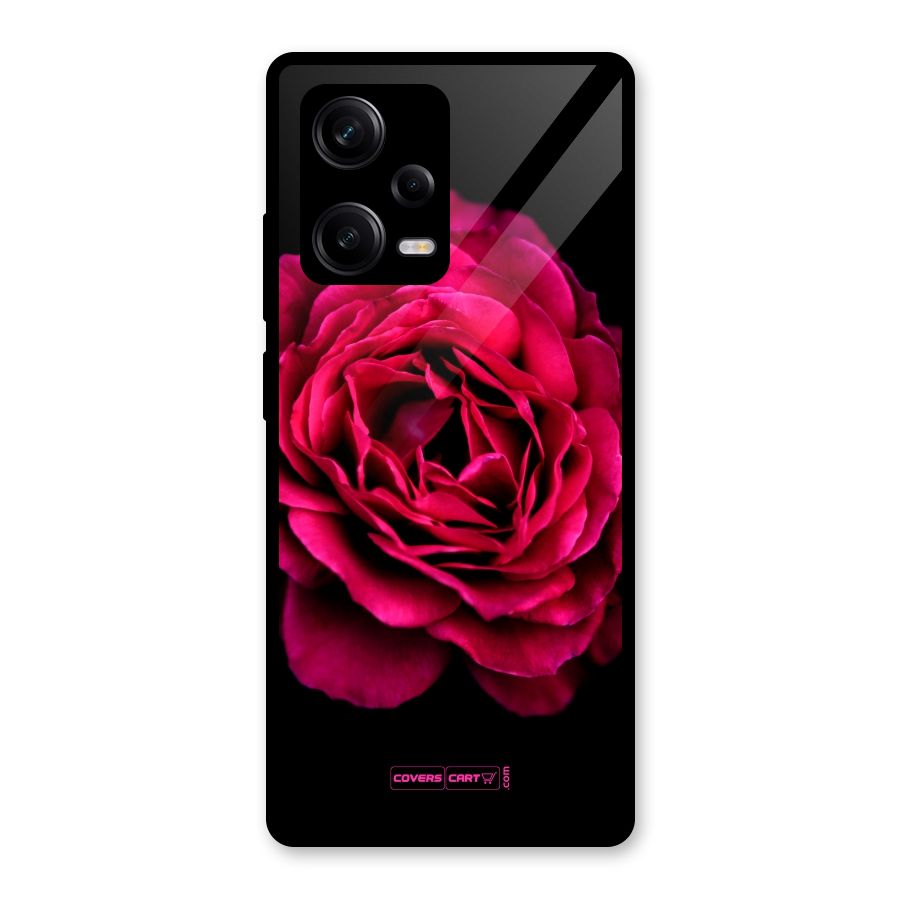 Magical Rose Glass Back Case for Redmi Note 12 Pro