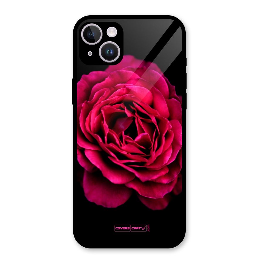 Magical Rose Glass Back Case for iPhone 14 Plus