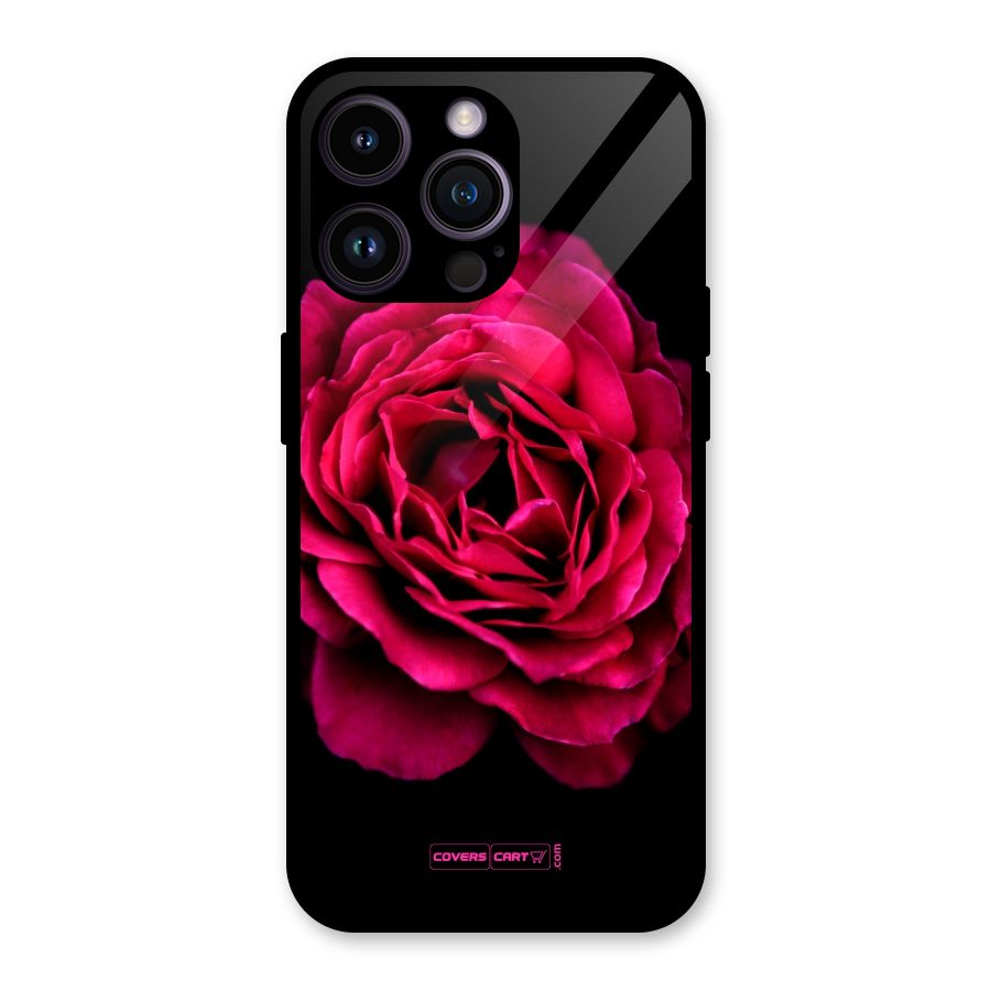 Magical Rose Glass Back Case for iPhone 14 Pro Max
