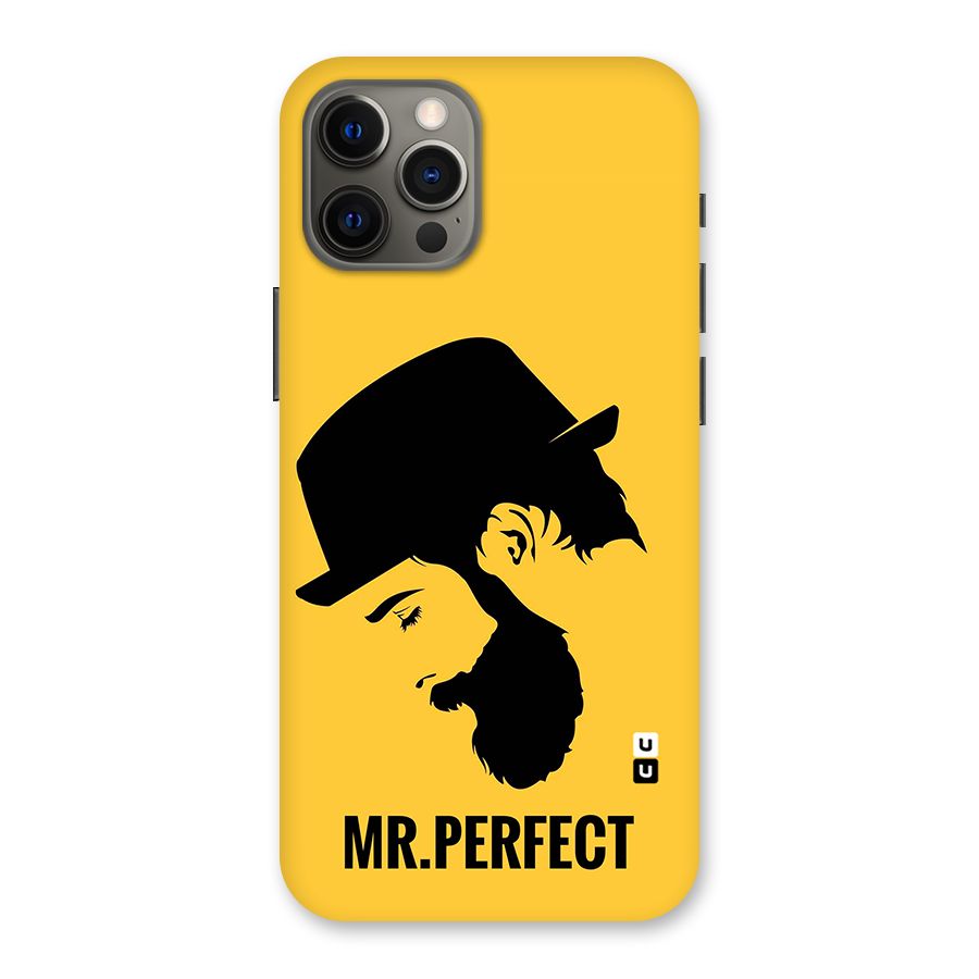 Mr Perfect Back Case for iPhone 12 Pro Max