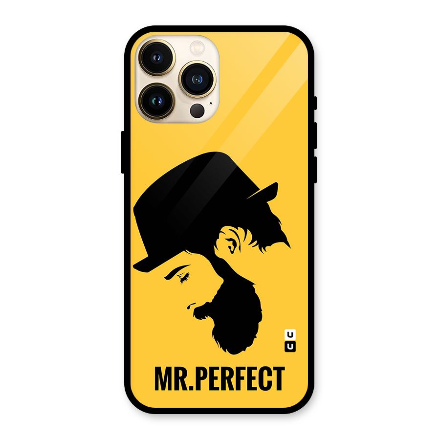 Mr Perfect Glass Back Case for iPhone 13 Pro Max