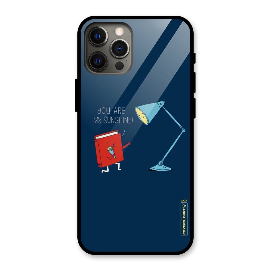 My Sunshine Glass Back Case for iPhone 12 Pro Max