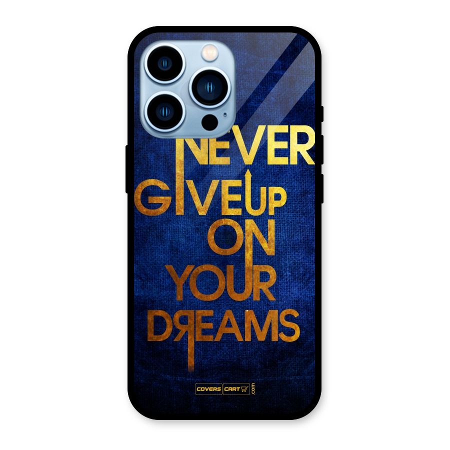 Never Give Up Glass Back Case for iPhone 13 Pro