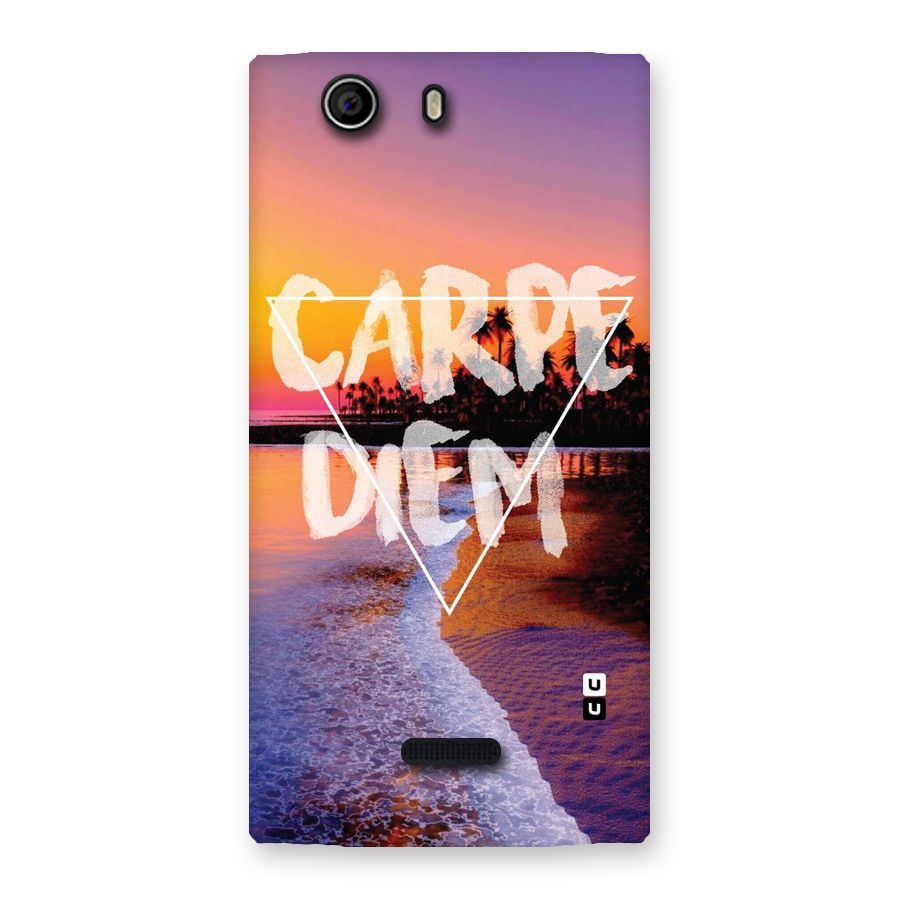 Oceanic Diem Back Case for Canvas Nitro 2 E311