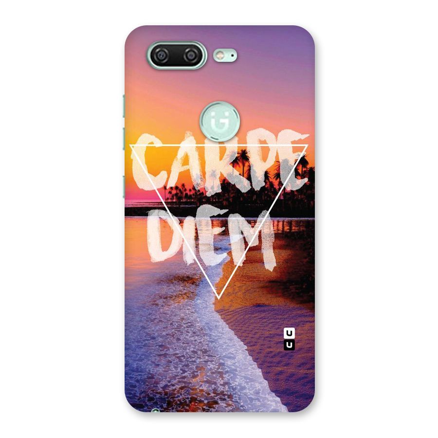 Oceanic Diem Back Case for Gionee S10