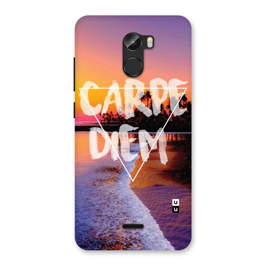 Oceanic Diem Back Case for Gionee X1