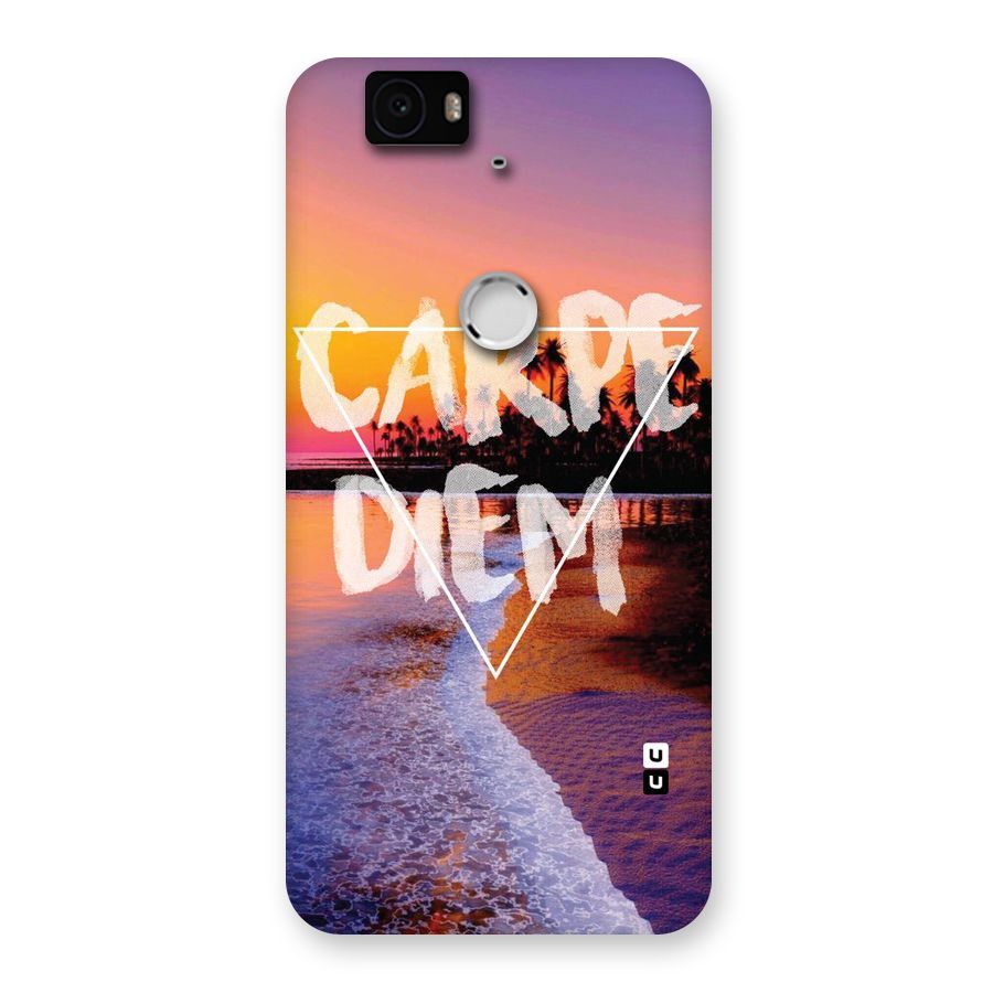 Oceanic Diem Back Case for Google Nexus-6P