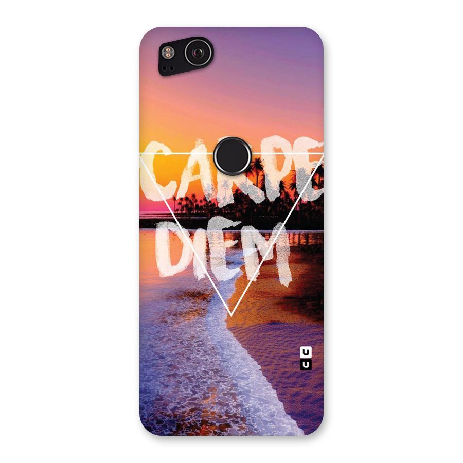 Oceanic Diem Back Case for Google Pixel 2