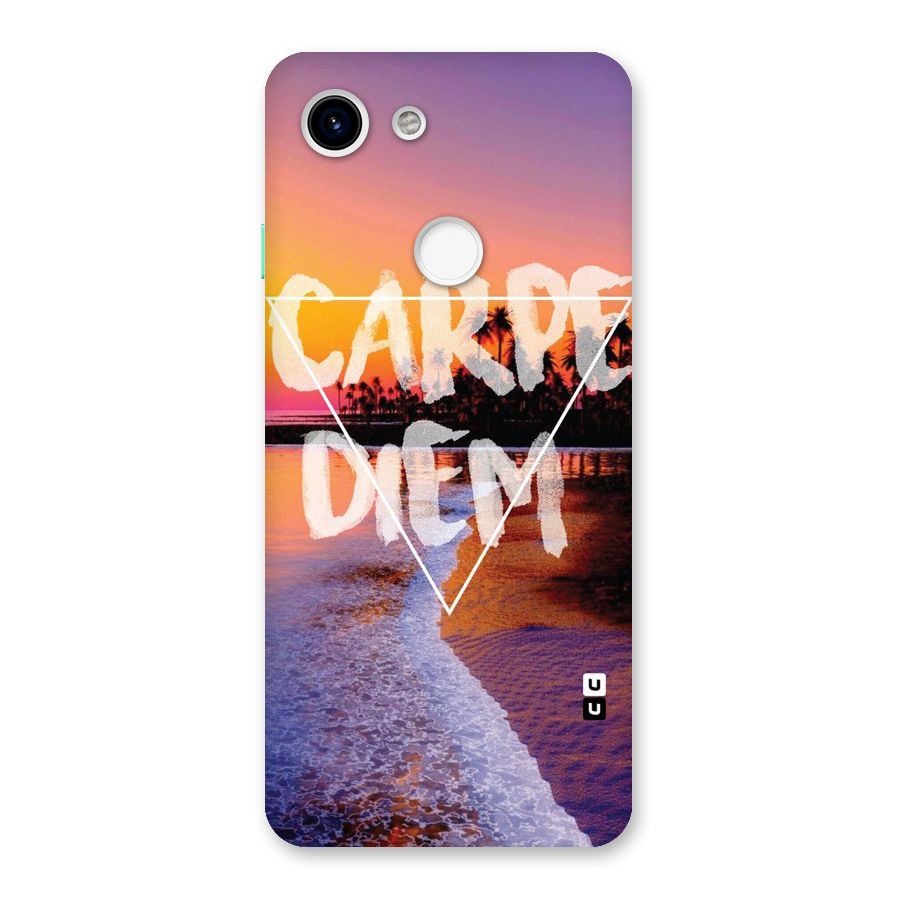 Oceanic Diem Back Case for Google Pixel 3