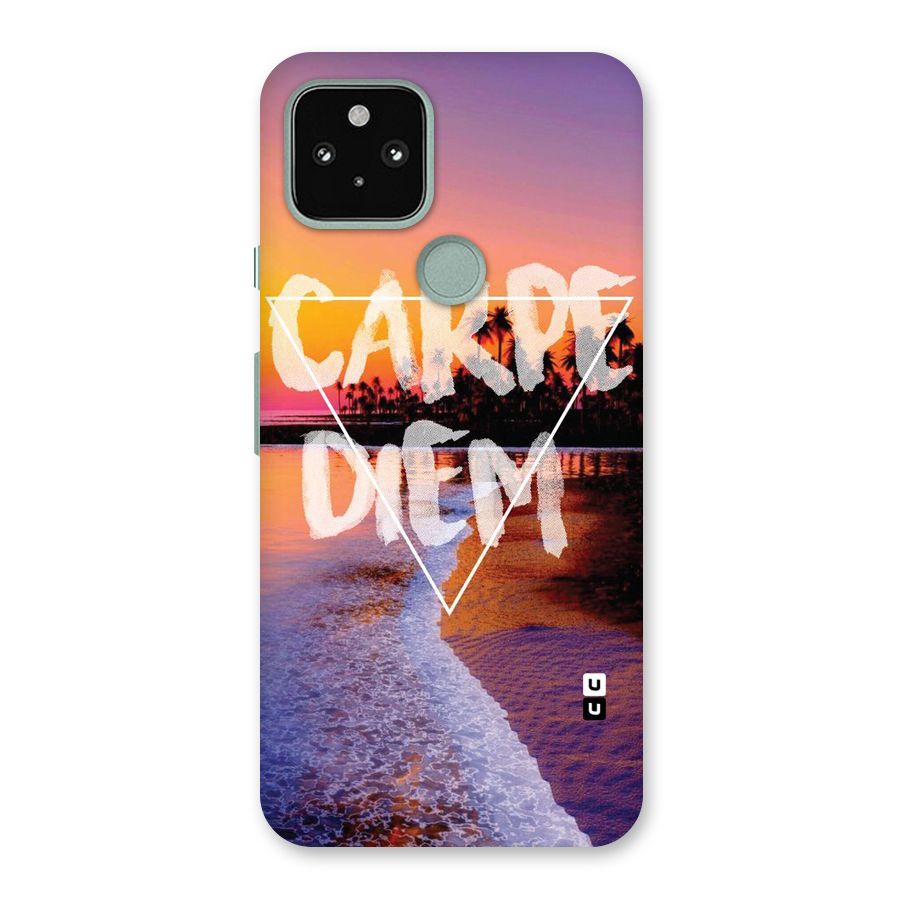 Oceanic Diem Back Case for Google Pixel 5
