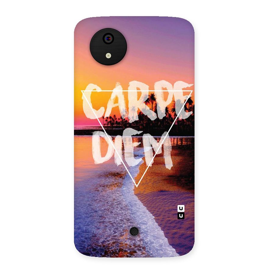 Oceanic Diem Back Case for Micromax Canvas A1