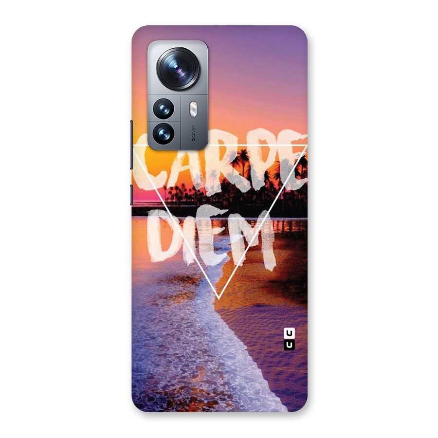 Oceanic Diem Back Case for Xiaomi 12 Pro