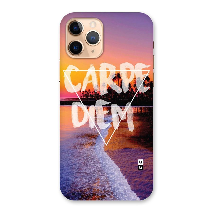 Oceanic Diem Back Case for iPhone 11 Pro