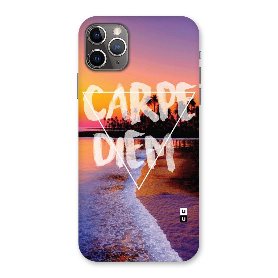 Oceanic Diem Back Case for iPhone 11 Pro Max