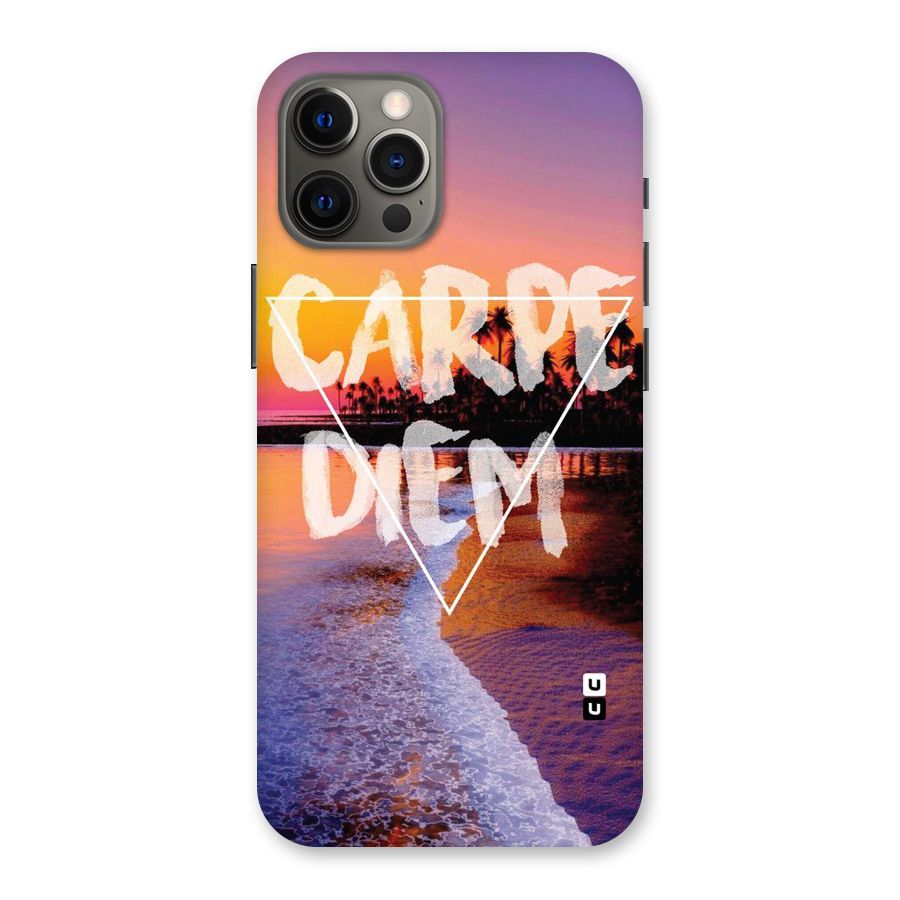 Oceanic Diem Back Case for iPhone 12 Pro Max
