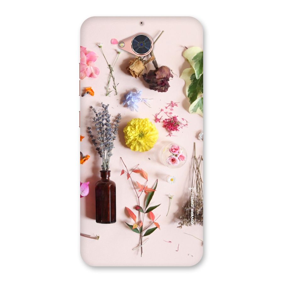 Old Petals Back Case for Gionee S6 Pro