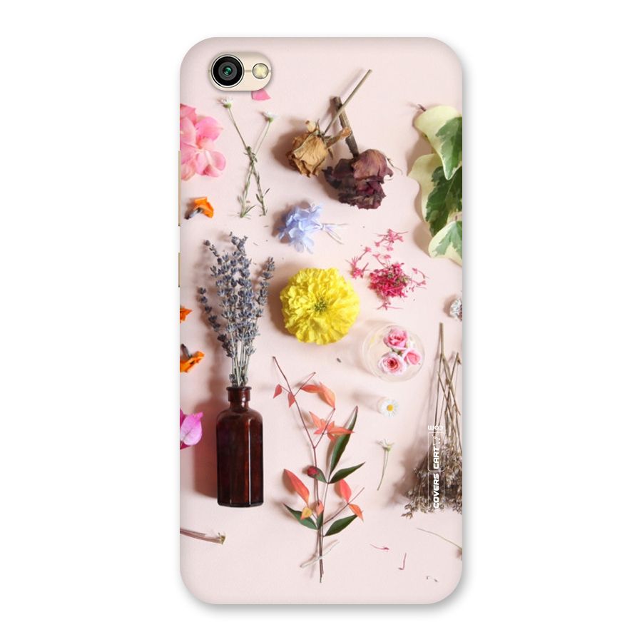Old Petals Back Case for Redmi Y1 Lite