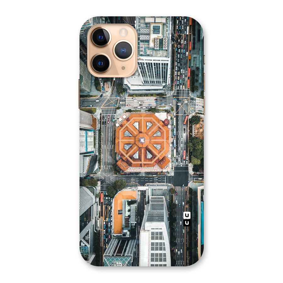 Orange Dome Back Case for iPhone 11 Pro