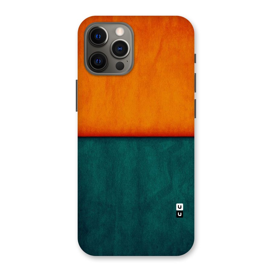 Orange Green Shade Back Case for iPhone 12 Pro Max