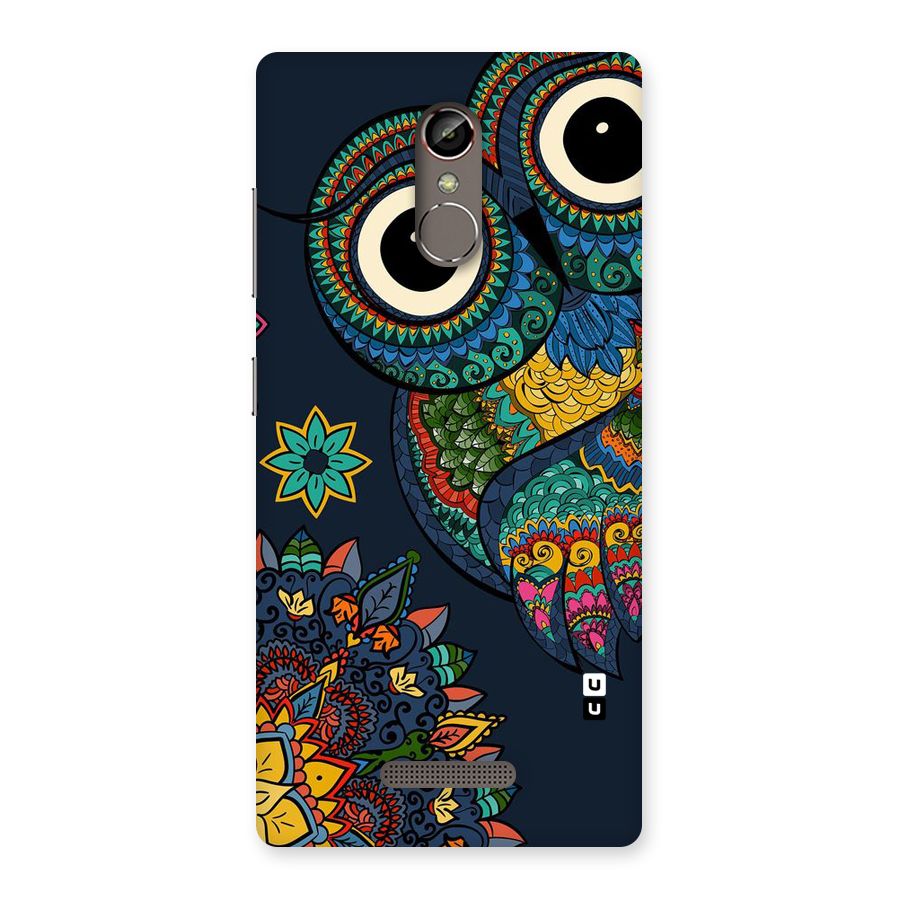 Owl Eyes Back Case for Gionee S6s