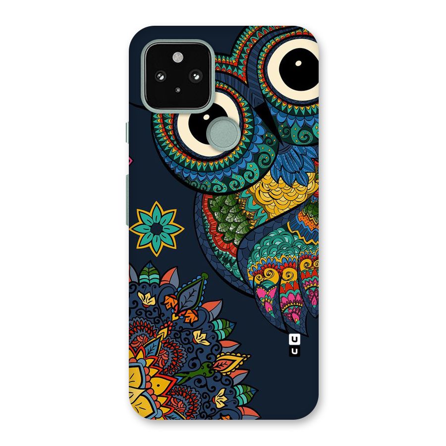 Owl Eyes Back Case for Google Pixel 5
