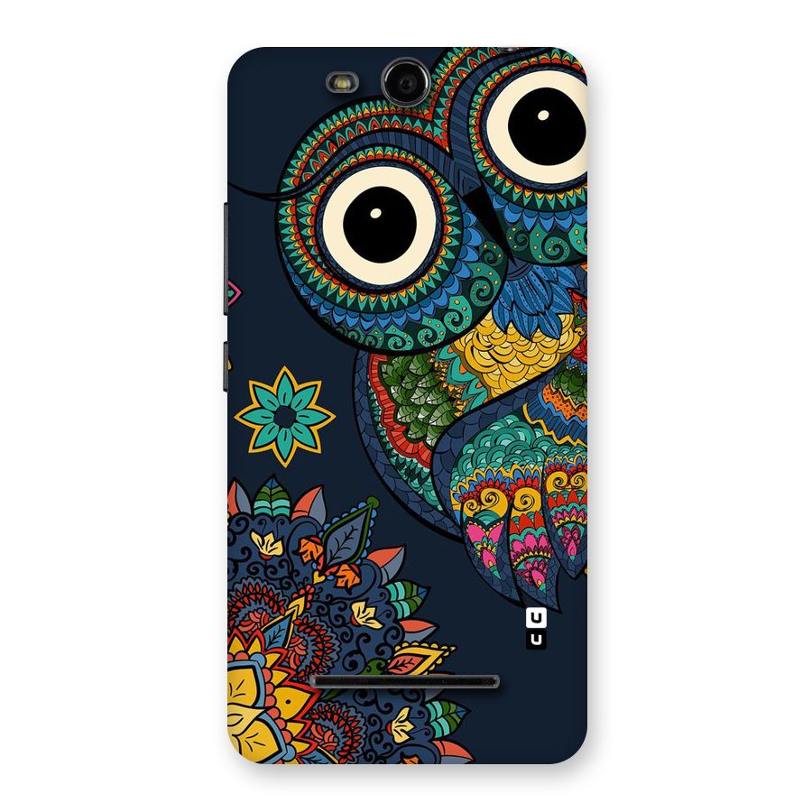Owl Eyes Back Case for Micromax Canvas Juice 3 Q392