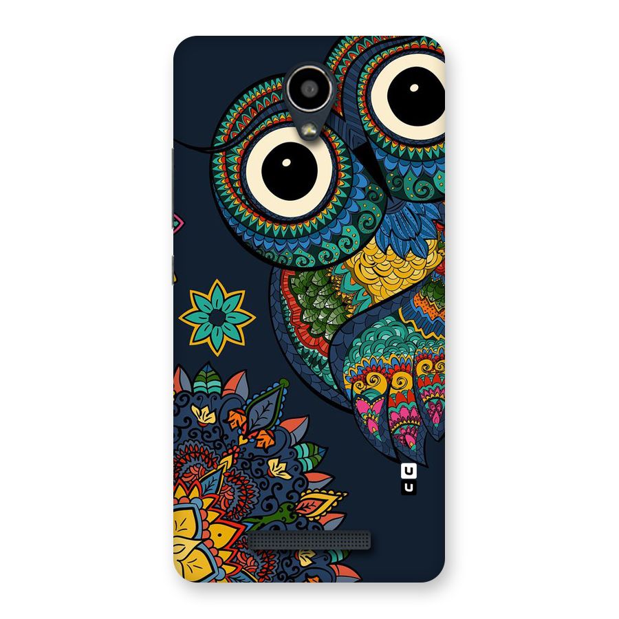 Owl Eyes Back Case for Redmi Note 2