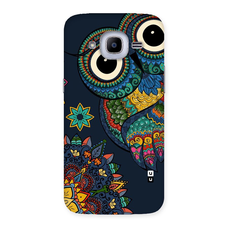 Owl Eyes Back Case for Samsung Galaxy J2 Pro