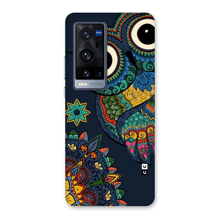 Owl Eyes Back Case for Vivo X60 Pro Plus