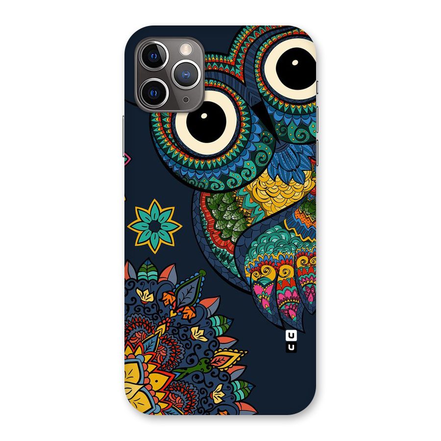 Owl Eyes Back Case for iPhone 11 Pro Max