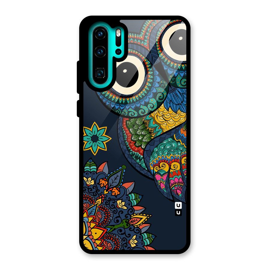 Owl Eyes Glass Back Case for Huawei P30 Pro